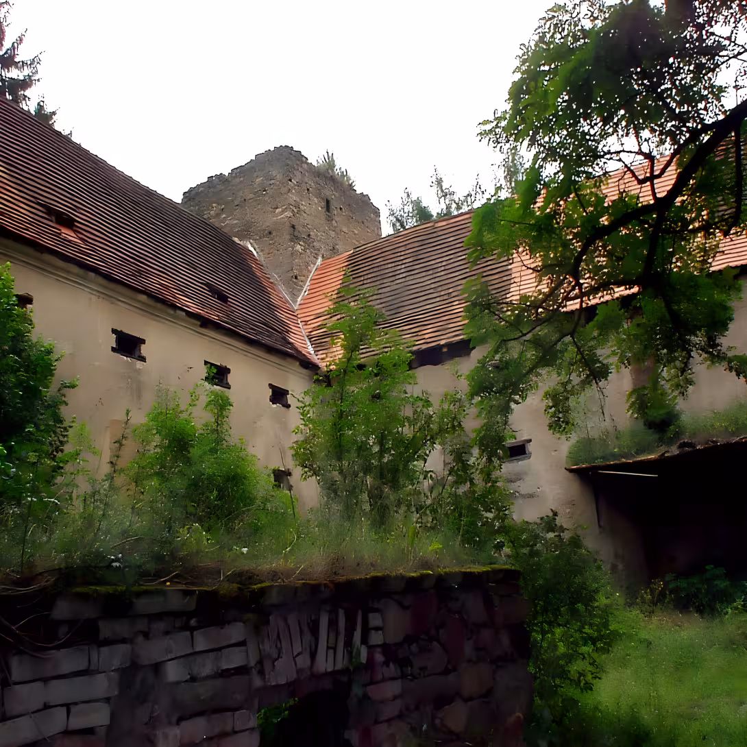Buzice