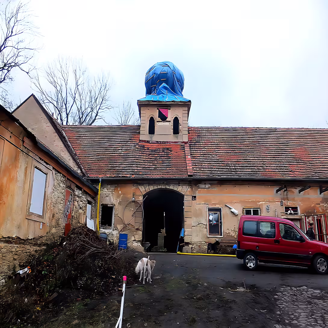 Cibulka