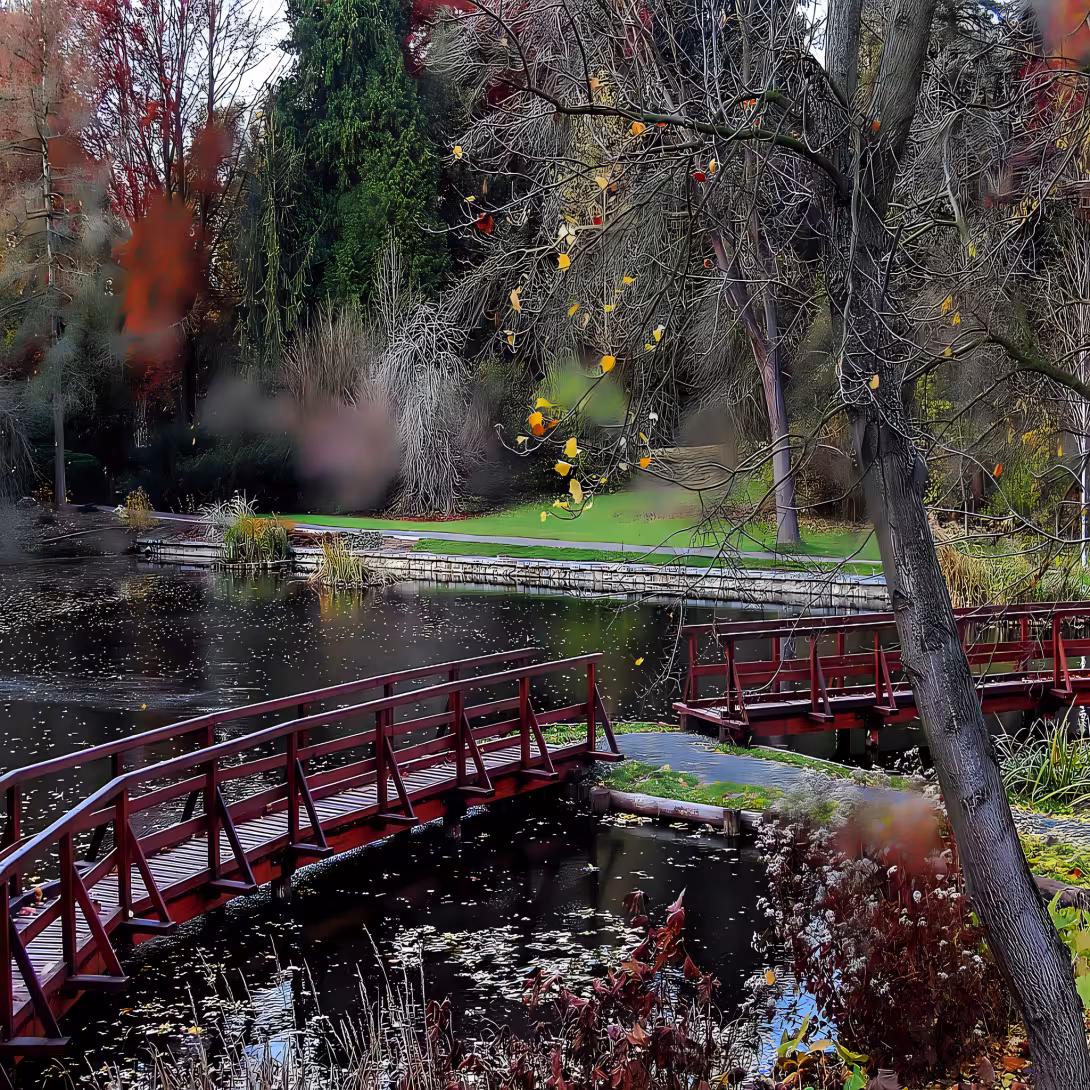 Arboretum Bílá Lhota