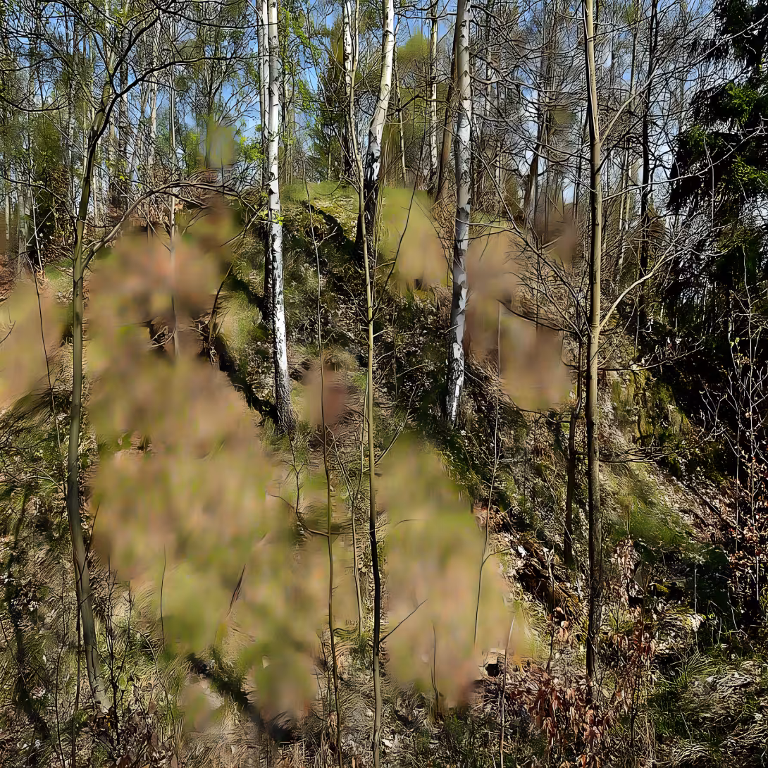 Hausberk (Křimov)