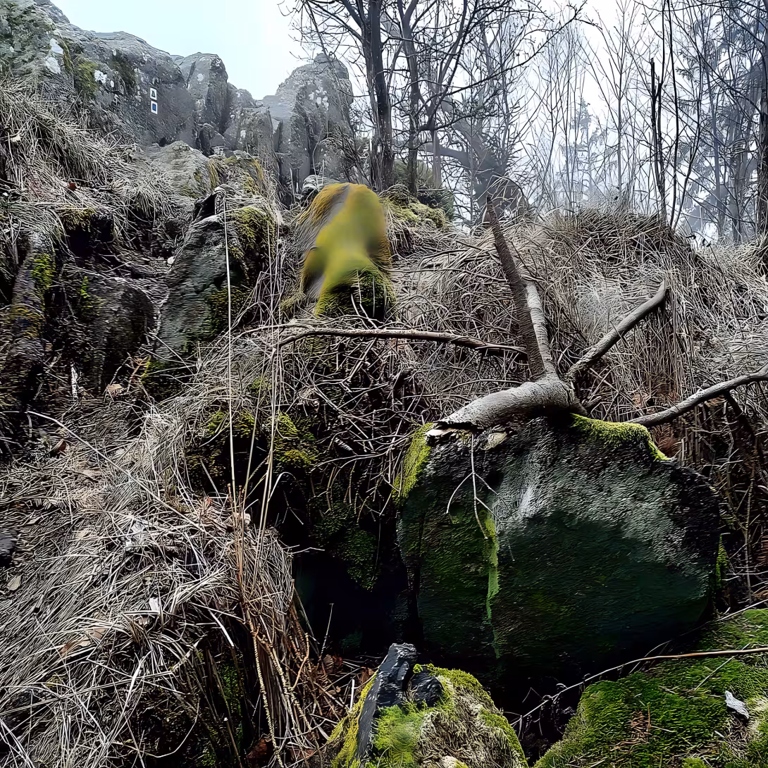 Hrad na Stožecké skále