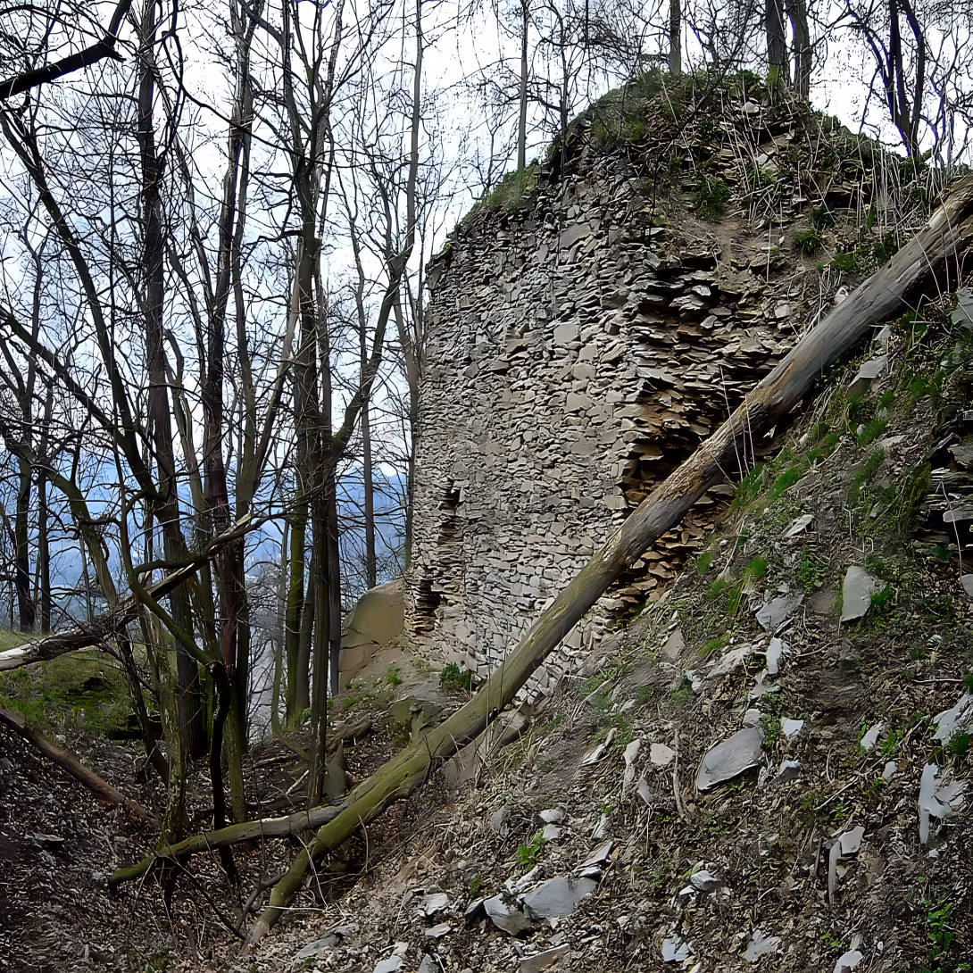 Litýš