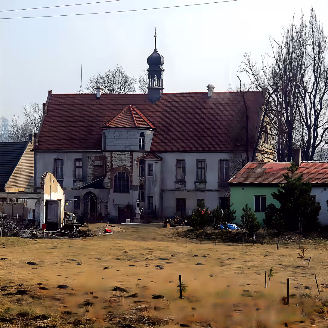Mradice