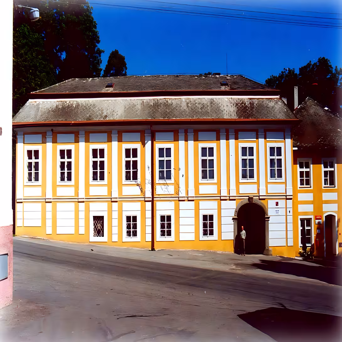 Puklice