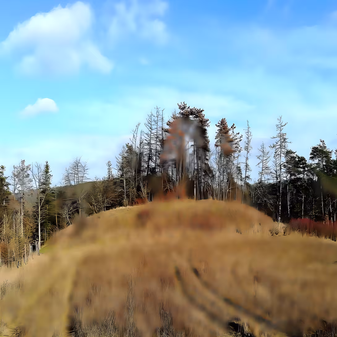 Rysov (Tišnovská Nová Ves)