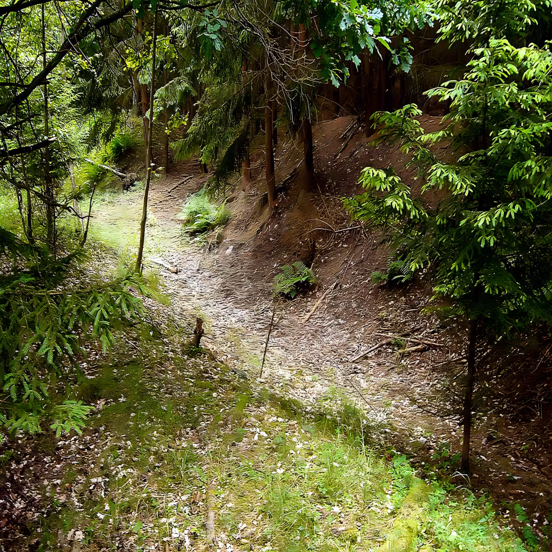 Sviňomazský hrádek