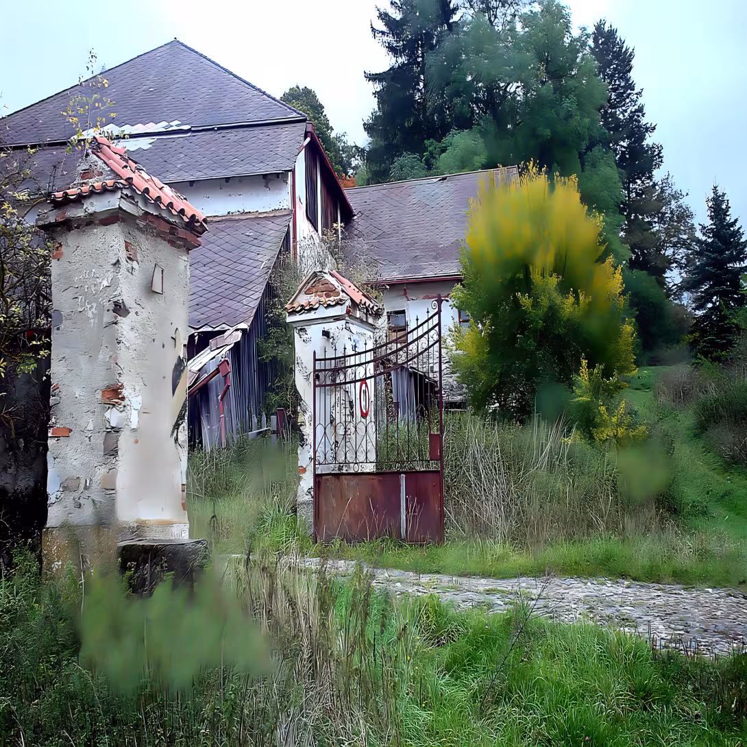 Žikov