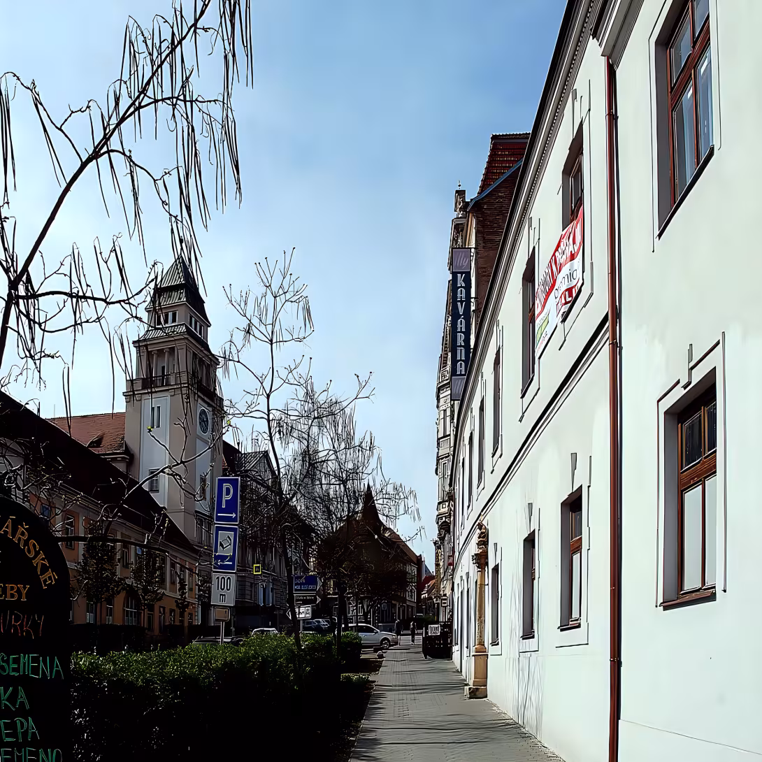 Dolní Předměstí (Znojmo)