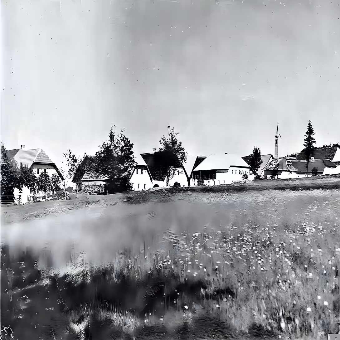 Pasečná