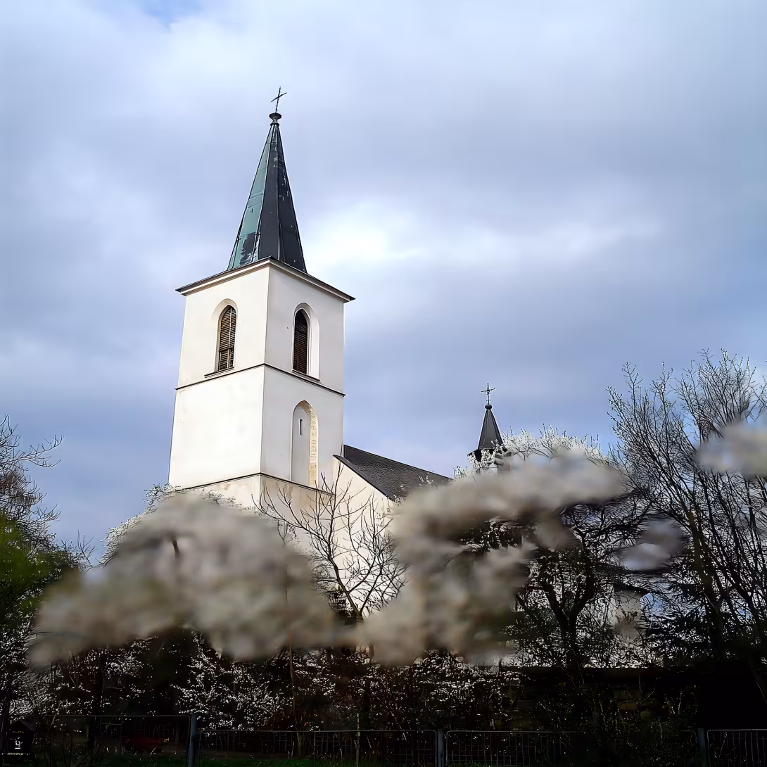 Kostel Nanebevzetí Panny Marie (Solec)