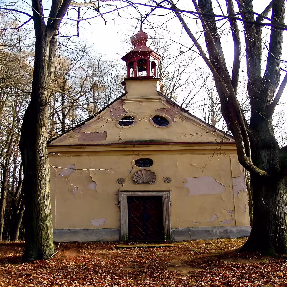 kaple Narození Panny Marie (Česká Skalice)