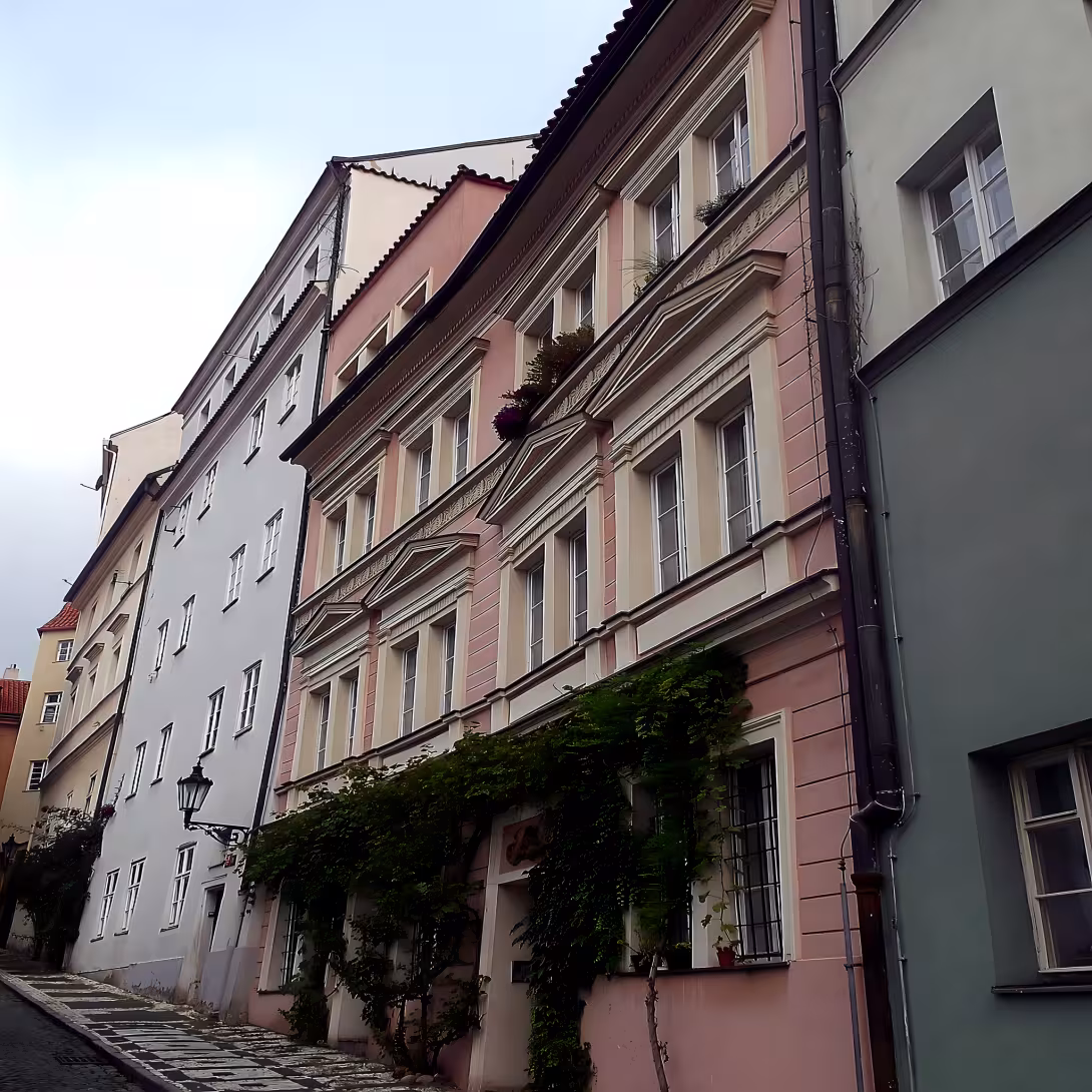 Jánská