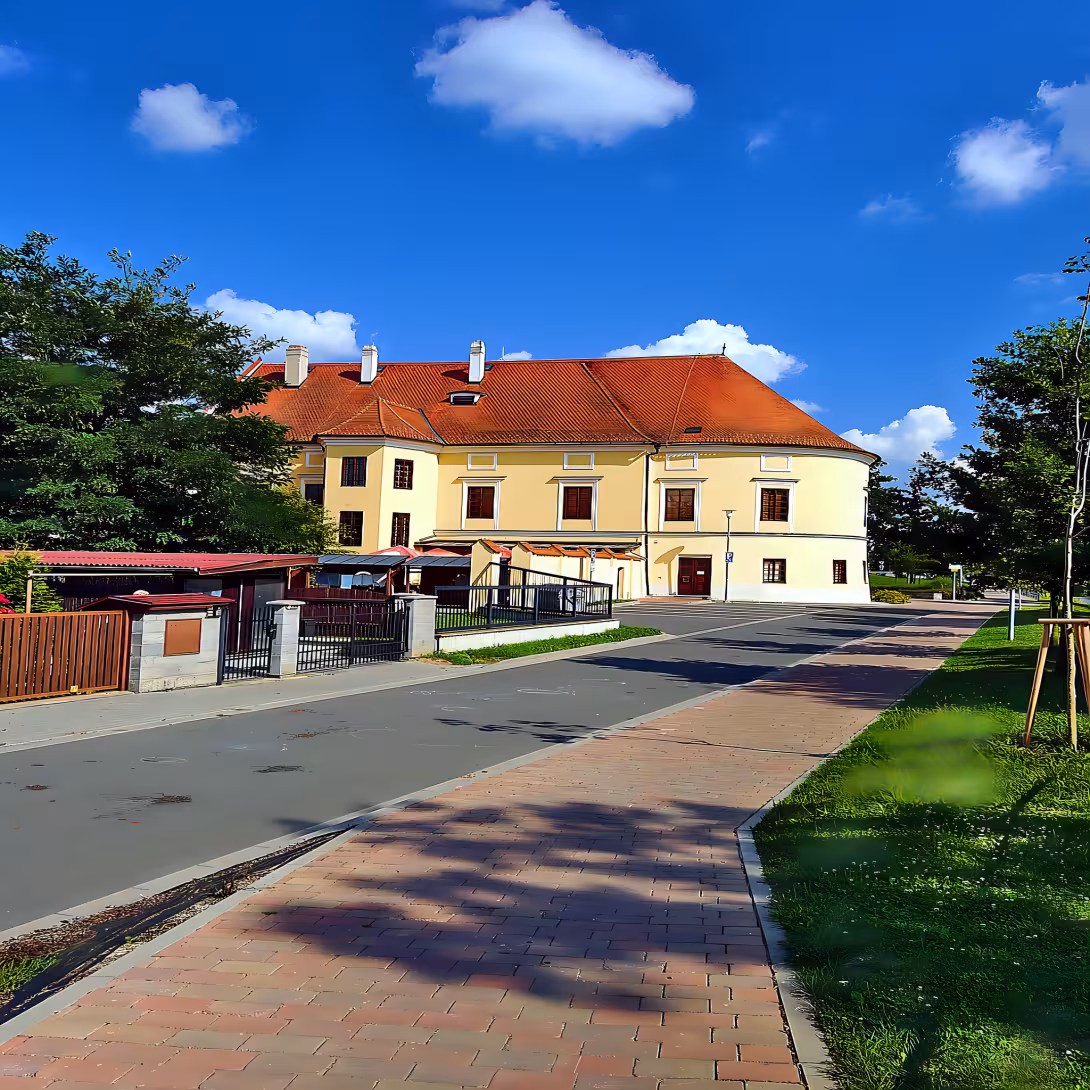 Smyčkova