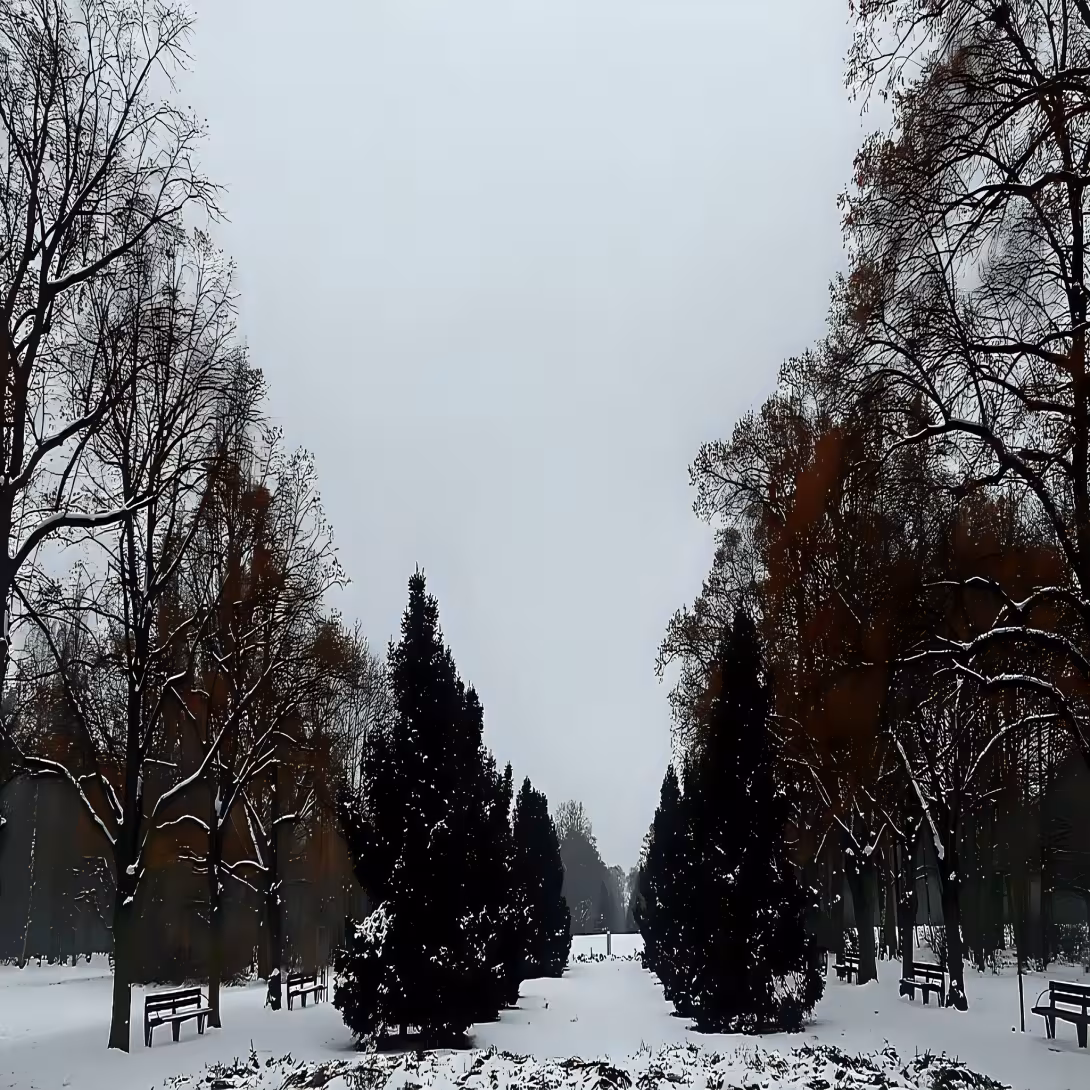 Borský park