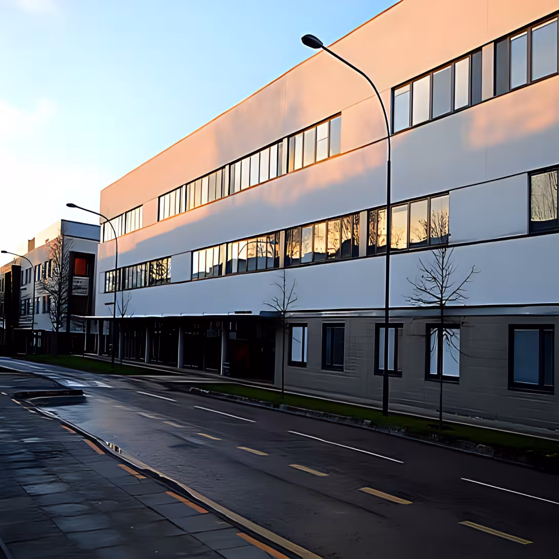 British Business School