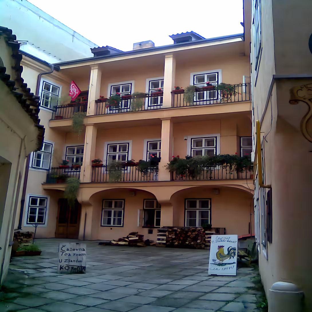 North Carolina State University – The Prague Institute