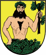 Znak obce Město Albrechtice