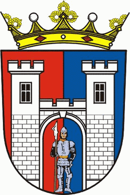Znak obce Březín