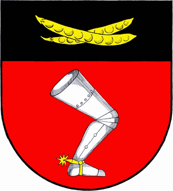Znak obce Hracholusky
